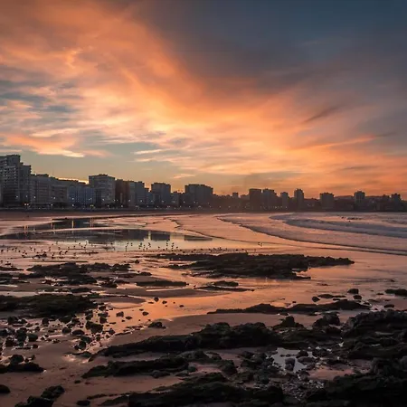 El Harapan - Refugio Selvático A Pie De Playa - Grupo Querbes *